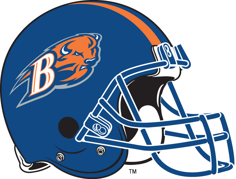 Bucknell Bison 2002-Pres Helmet Logo diy fabric transfer